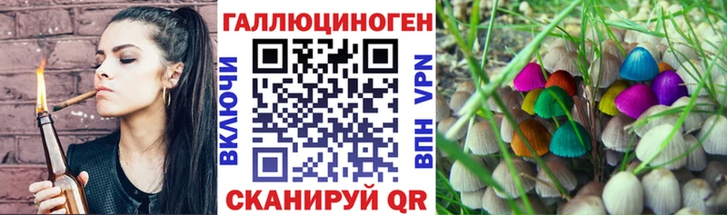 магазин продажи наркотиков  Ладушкин  Псилоцибиновые грибы Magic Shrooms 